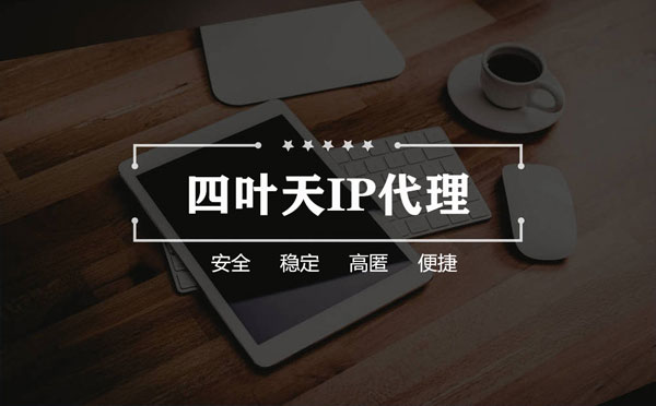 【南阳代理IP】如何快速搭建代理IP？怎么检查代理的效果？